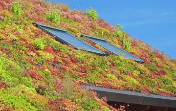 Buckham living roof systems