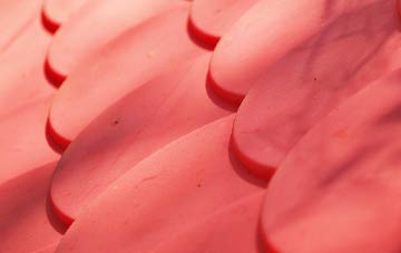 Buckham plastic roof costs