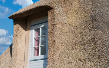 Buckham thatch roof disadvantages