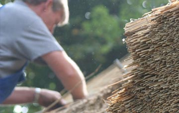 professional Buckham thatchers