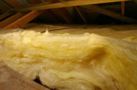 Buckham pitch roof insulation